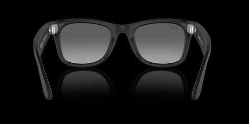 RAY-BAN Wayfarer Matte Black W/polar Accessories